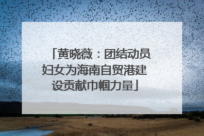 黄晓薇：团结动员妇女为海南自贸港建设贡献巾帼力量