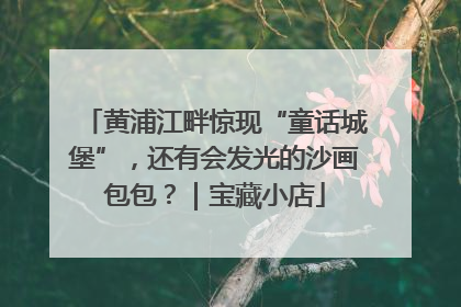 黄浦江畔惊现“童话城堡”，还有会发光的沙画包包？｜宝藏小店