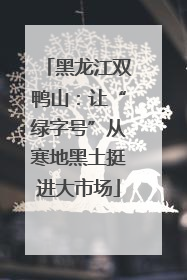 黑龙江双鸭山：让“绿字号”从寒地黑土挺进大市场
