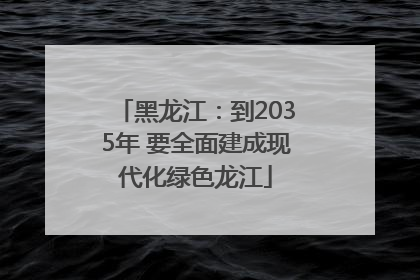 黑龙江：到2035年 要全面建成现代化绿色龙江