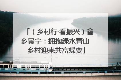 （乡村行·看振兴）畲乡景宁：拥抱绿水青山 乡村迎来共富蝶变