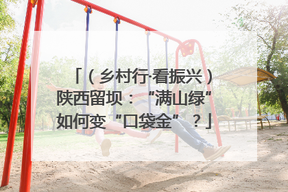 （乡村行·看振兴）陕西留坝：“满山绿”如何变“口袋金”？