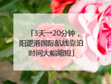 3天→20分钟，阳逻港国际航线靠泊时间大幅缩短