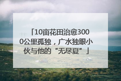 10亩花田治愈3000公里孤独，广水独眼小伙与他的“无尽夏”