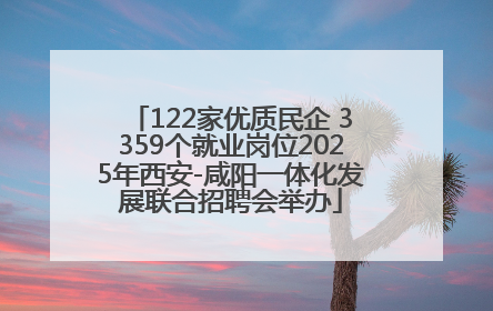 122家优质民企 3359个就业岗位2025年西安-咸阳一体化发展联合招聘会举办