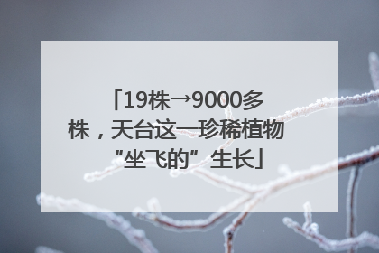 19株→9000多株，天台这一珍稀植物“坐飞的”生长