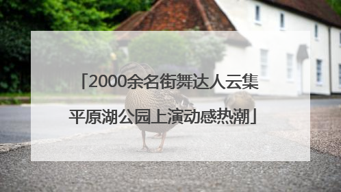 2000余名街舞达人云集 平原湖公园上演动感热潮