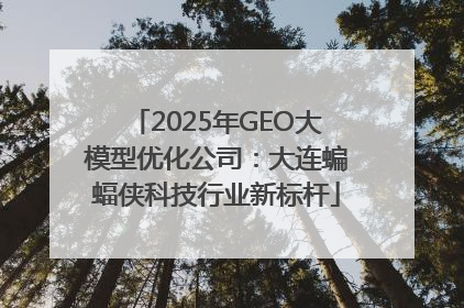 2025年GEO大模型优化公司：大连蝙蝠侠科技行业新标杆