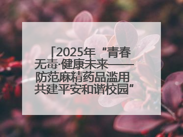 2025年“青春无毒·健康未来——防范麻精药品滥用 共建平安和谐校园”禁毒宣传专题活动在咸宁举行