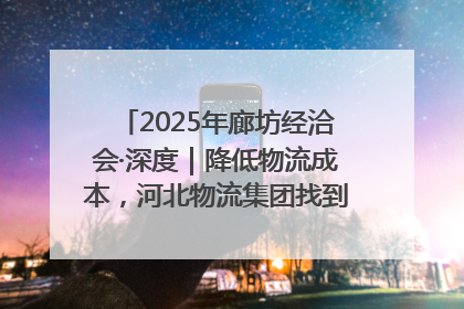 2025年廊坊经洽会·深度｜降低物流成本，河北物流集团找到一把“金钥匙”