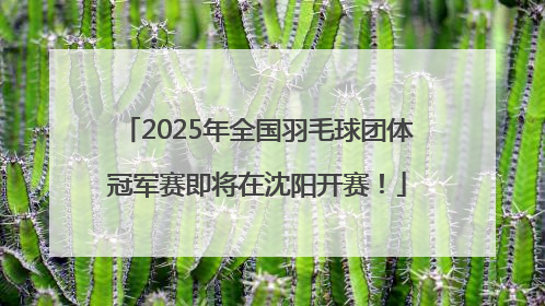 2025年全国羽毛球团体冠军赛即将在沈阳开赛！