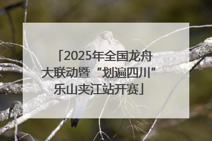 2025年全国龙舟大联动暨“划遍四川”乐山夹江站开赛