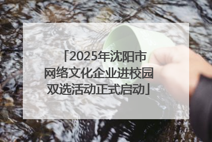 2025年沈阳市网络文化企业进校园双选活动正式启动