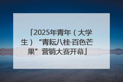 2025年青年（大学生）“青耘八桂·百色芒果”营销大赛开幕