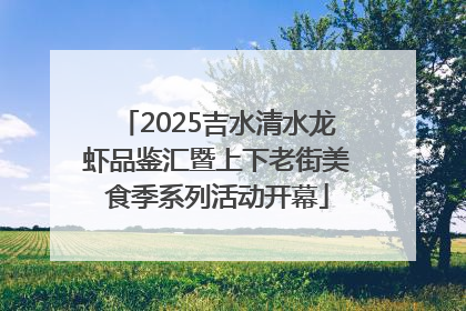 2025吉水清水龙虾品鉴汇暨上下老街美食季系列活动开幕
