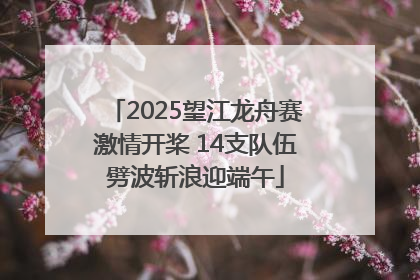 2025望江龙舟赛激情开桨 14支队伍劈波斩浪迎端午