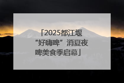 2025都江堰“好嗨啤”消夏夜啤美食季启幕