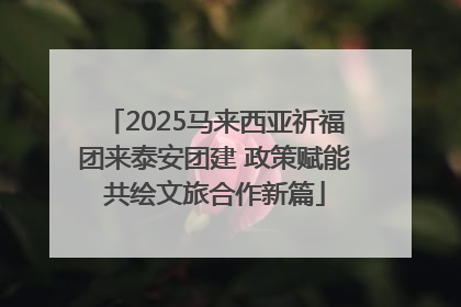2025马来西亚祈福团来泰安团建 政策赋能共绘文旅合作新篇