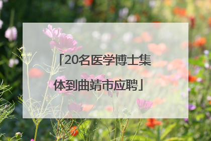 20名医学博士集体到曲靖市应聘