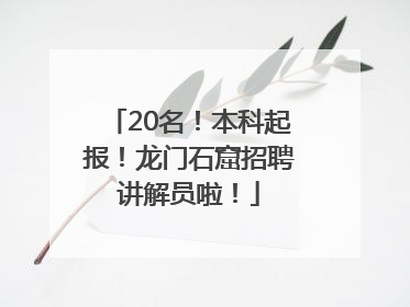 20名！本科起报！龙门石窟招聘讲解员啦！