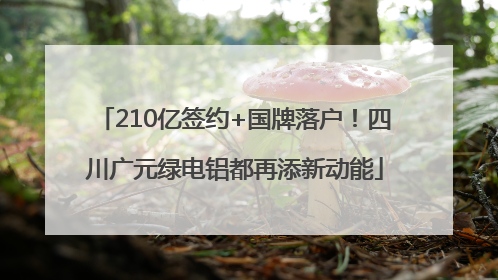 210亿签约+国牌落户！四川广元绿电铝都再添新动能