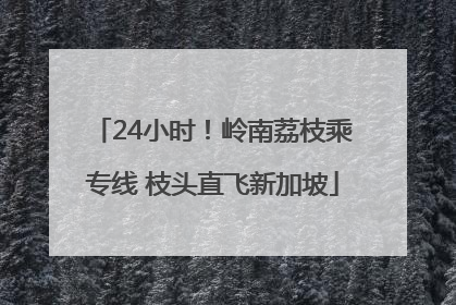 24小时！岭南荔枝乘专线 枝头直飞新加坡