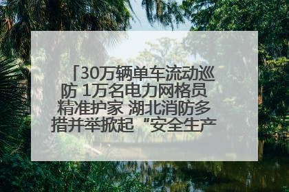 30万辆单车流动巡防 1万名电力网格员精准护家 湖北消防多措并举掀起“安全生产月”宣传热潮