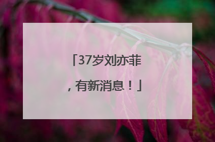37岁刘亦菲，有新消息！