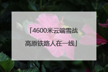 4600米云端雪战 高原铁路人在一线