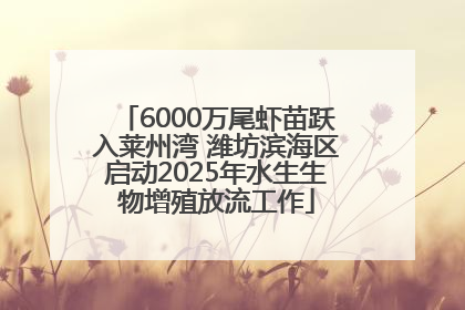 6000万尾虾苗跃入莱州湾 潍坊滨海区启动2025年水生生物增殖放流工作