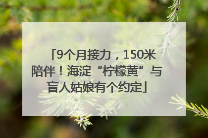 9个月接力，150米陪伴！海淀“柠檬黄”与盲人姑娘有个约定