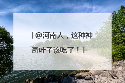 @河南人，这种神奇叶子该吃了！