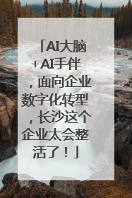 AI大脑+AI手伴，面向企业数字化转型，长沙这个企业太会整活了！