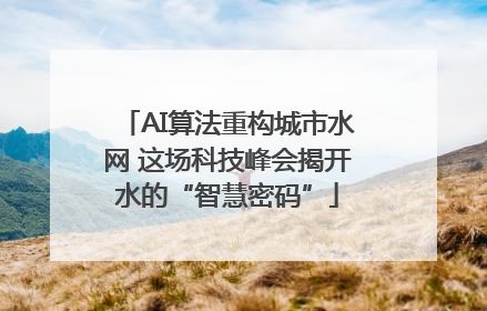 AI算法重构城市水网 这场科技峰会揭开水的“智慧密码”
