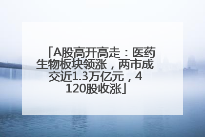 A股高开高走：医药生物板块领涨，两市成交近1.3万亿元，4120股收涨